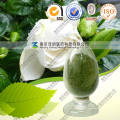 Pigmento natural Gardenia Green E7-80